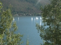 Sailboats
