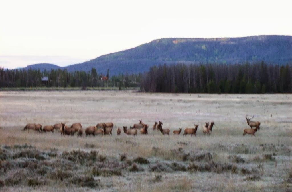 Race for the Cure, Bugling Elk, Golden Aspen Leaves and Beautiful Autumn Weather!