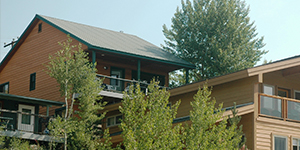 Grand Lake Colorado Tree House