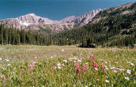 Quiet Side of Rocky Mountain National Park, Family Fly Fishing Day, Buffalo BBQ Weekend, Brews & Crews Festival Including Boat Races and More!