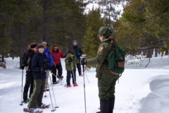 Ranger Led Snowshoe Program Rocky Mountain National Park
